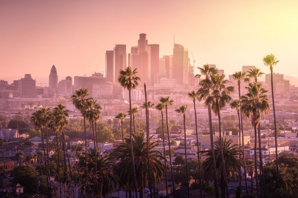 Palmen vor Skyline von Los Angeles, Glasbild Angebot – Bild 5